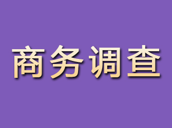 福建商务调查